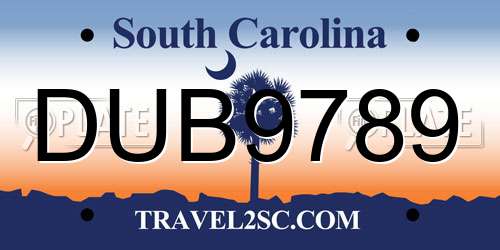 DUB9789 South Carolina License Plate