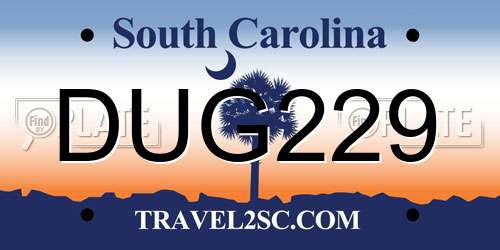 DUG229 South Carolina License Plate