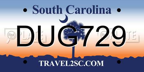 DUG729 South Carolina License Plate