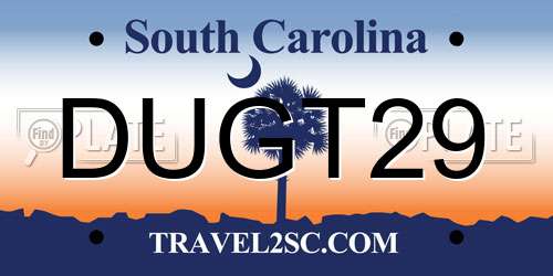 DUGT29 South Carolina License Plate