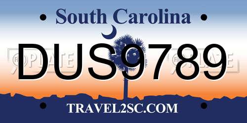DUS9789 South Carolina License Plate