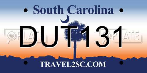 DUT131 South Carolina License Plate