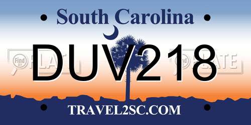 DUV218 South Carolina License Plate