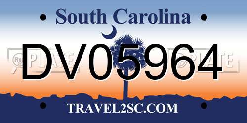 DV05964 South Carolina License Plate