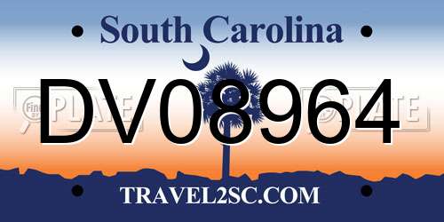 DV08964 South Carolina License Plate
