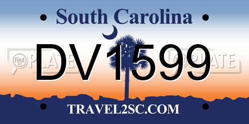 DV1599 South Carolina License Plate