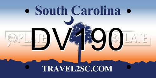 DV190 South Carolina License Plate