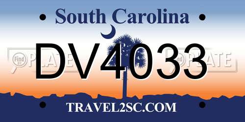 DV4033 South Carolina License Plate