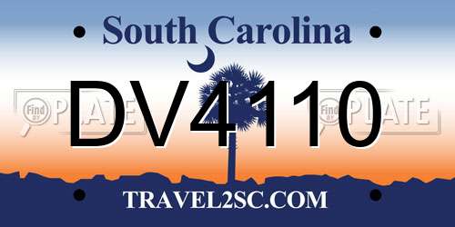 DV4110 South Carolina License Plate