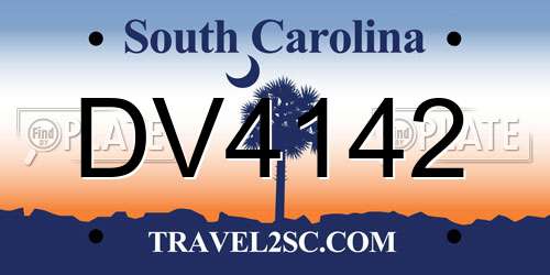 DV4142 South Carolina License Plate