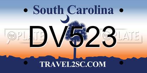 DV523 South Carolina License Plate