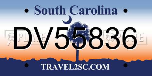 DV55836 South Carolina License Plate