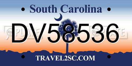 DV58536 South Carolina License Plate