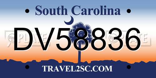 DV58836 South Carolina License Plate