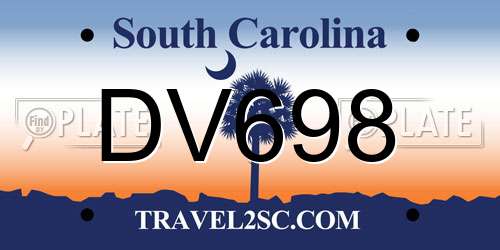 DV698 South Carolina License Plate