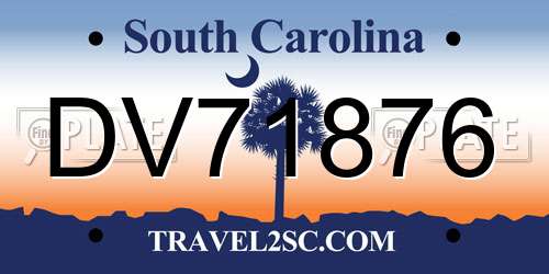 DV71876 South Carolina License Plate
