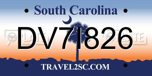 DV7I826 South Carolina License Plate