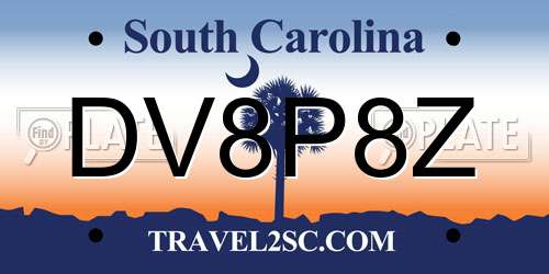 DV8P8Z South Carolina License Plate