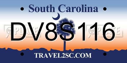 DV8S116 South Carolina License Plate