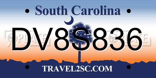 DV8S836 South Carolina License Plate