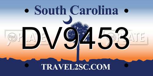 DV9453 South Carolina License Plate
