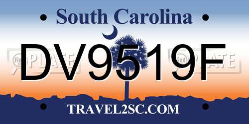 DV9519F South Carolina License Plate