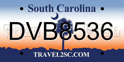 DVB8536 South Carolina License Plate