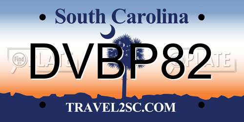 DVBP82 South Carolina License Plate