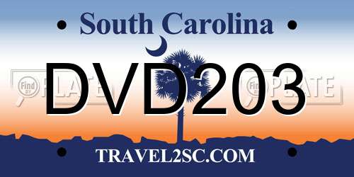 DVD203 South Carolina License Plate