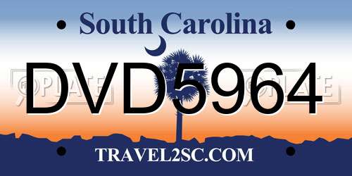 DVD5964 South Carolina License Plate