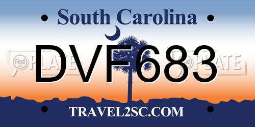 DVF683 South Carolina License Plate