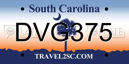 DVG375 South Carolina License Plate