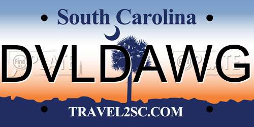 DVLDAWG South Carolina License Plate