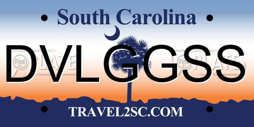 DVLGGSS South Carolina License Plate