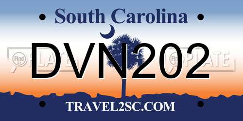 DVN202 South Carolina License Plate