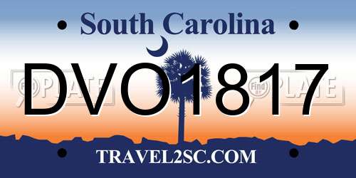 DVO1817 South Carolina License Plate