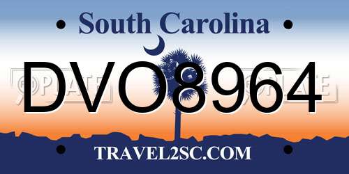 DVO8964 South Carolina License Plate