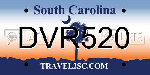 DVR520 South Carolina License Plate