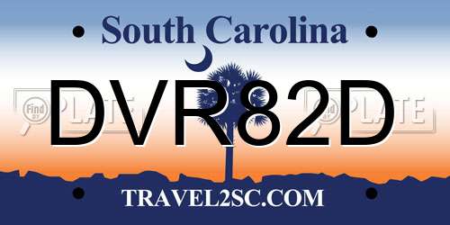 DVR82D South Carolina License Plate