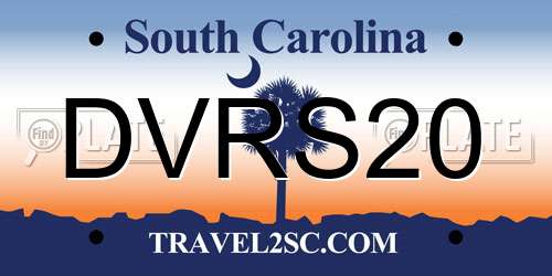 DVRS20 South Carolina License Plate