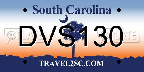 DVS130 South Carolina License Plate