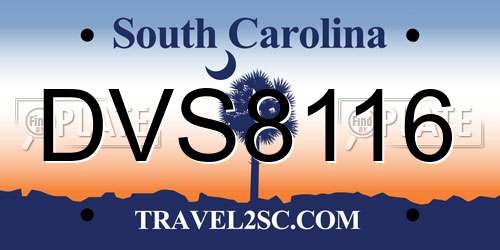 DVS8116 South Carolina License Plate
