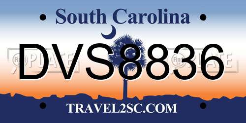 DVS8836 South Carolina License Plate