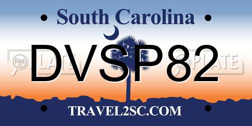 DVSP82 South Carolina License Plate