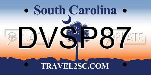DVSP87 South Carolina License Plate