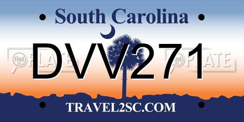 DVV271 South Carolina License Plate