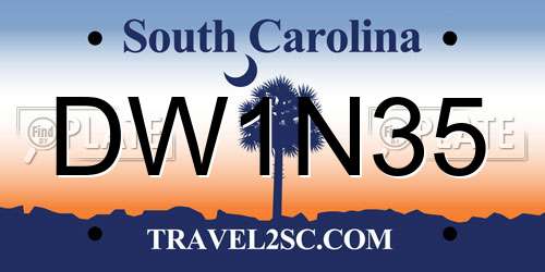 DW1N35 South Carolina License Plate