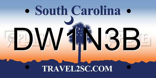 DW1N3B South Carolina License Plate