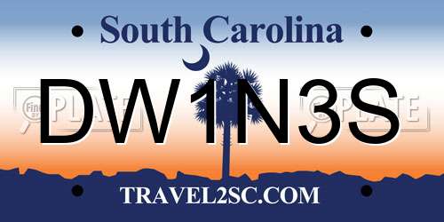 DW1N3S South Carolina License Plate