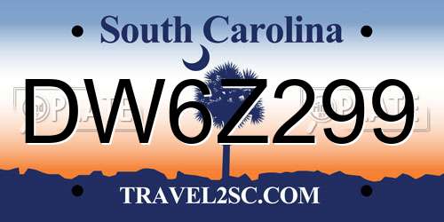 DW6Z299 South Carolina License Plate